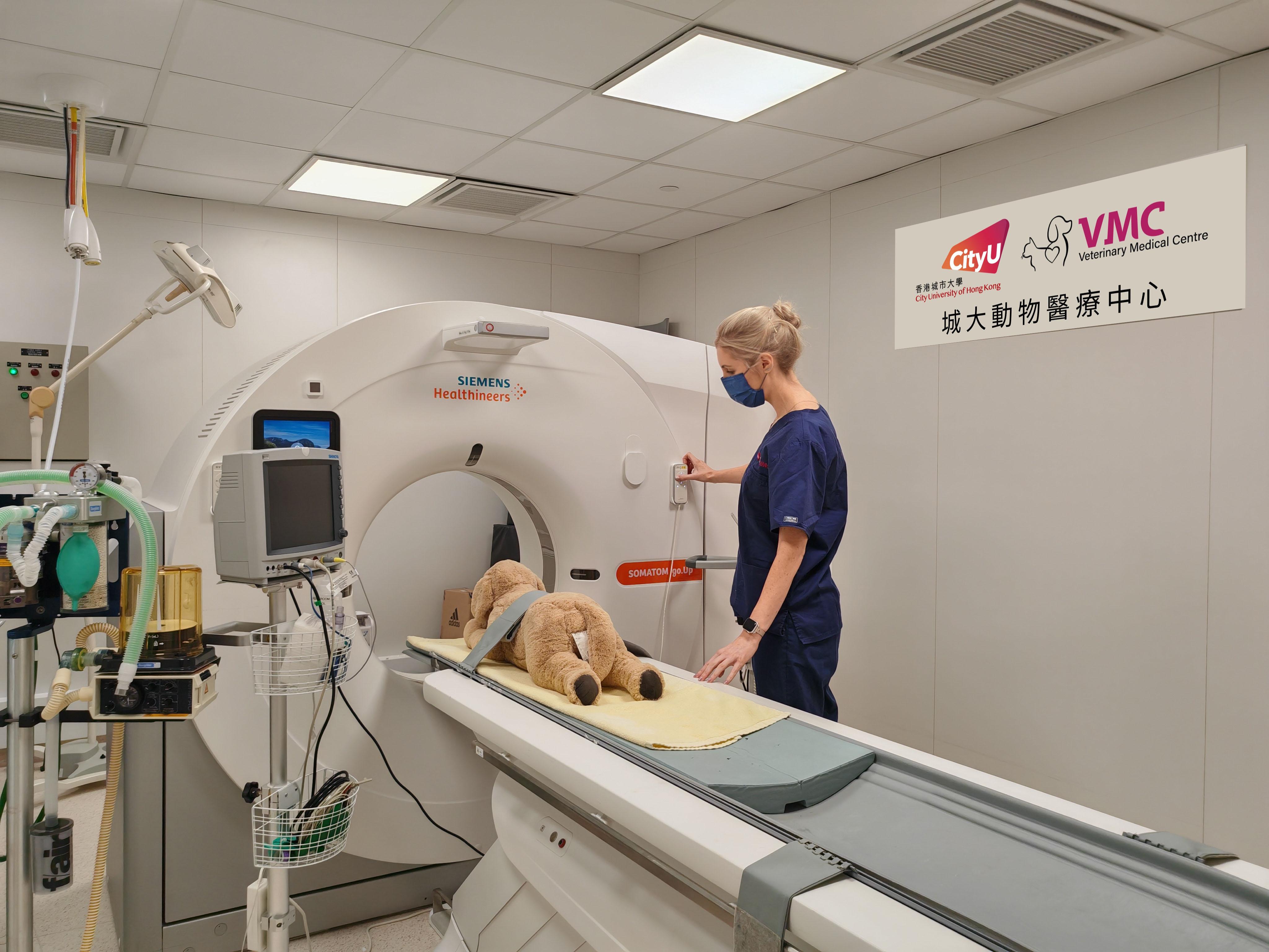 電腦斷層掃描(CT Scan)