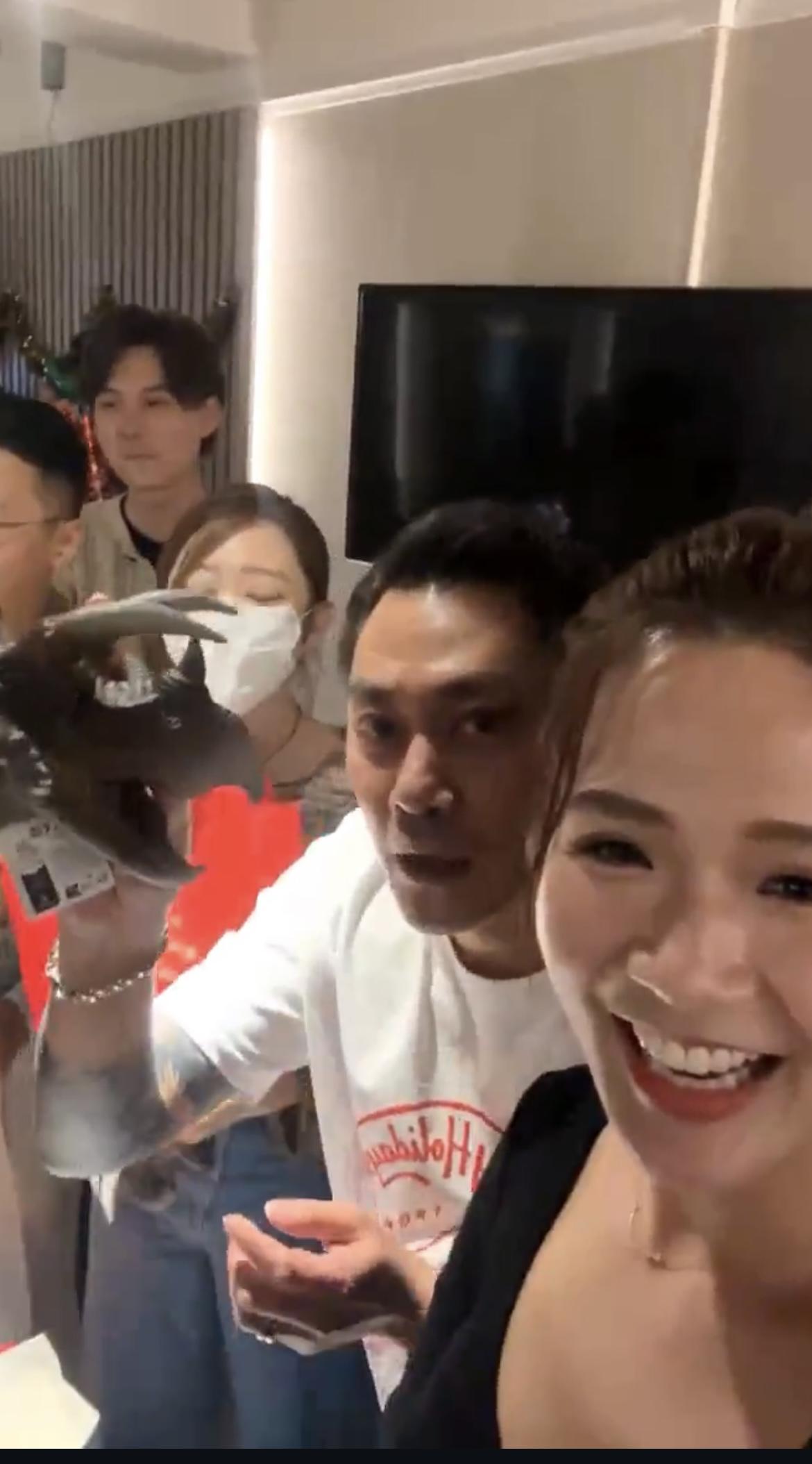 Sophie的手套幾多人爭住玩。