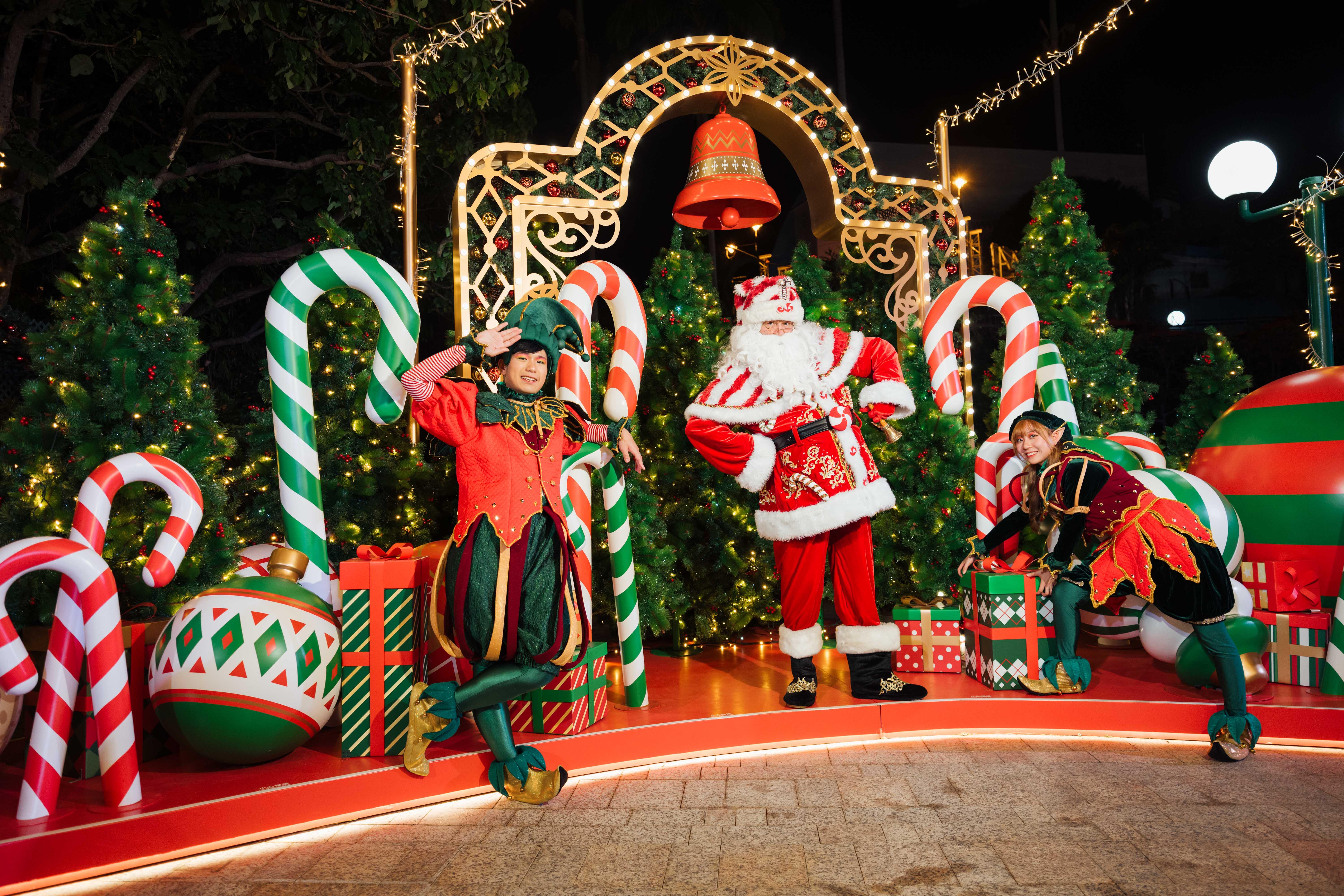 海洋公園6 米高聖誕樹