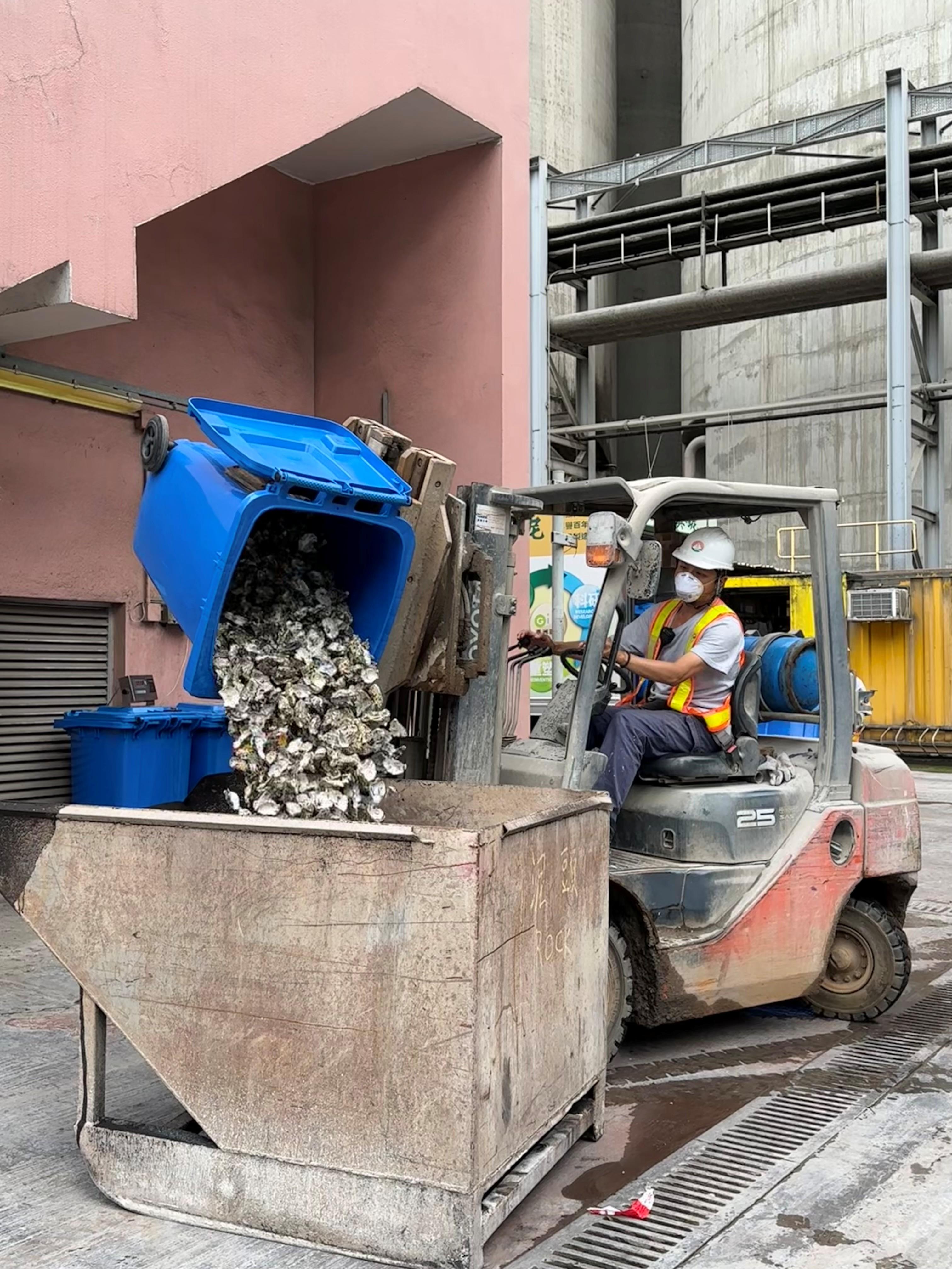 以廢蠔殼取代石灰石生產水泥。