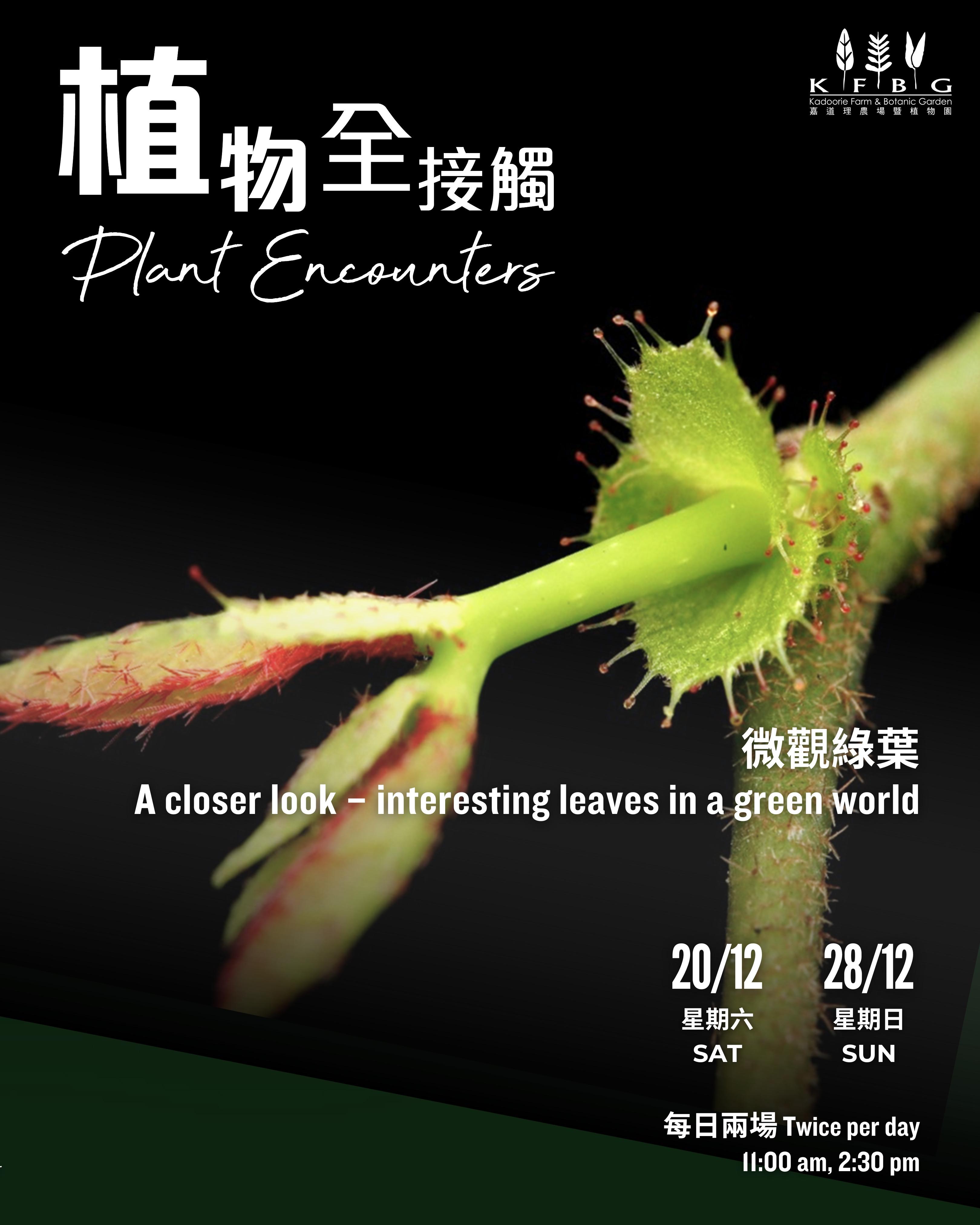 「植物全接觸 - 微觀綠葉」互動體驗
