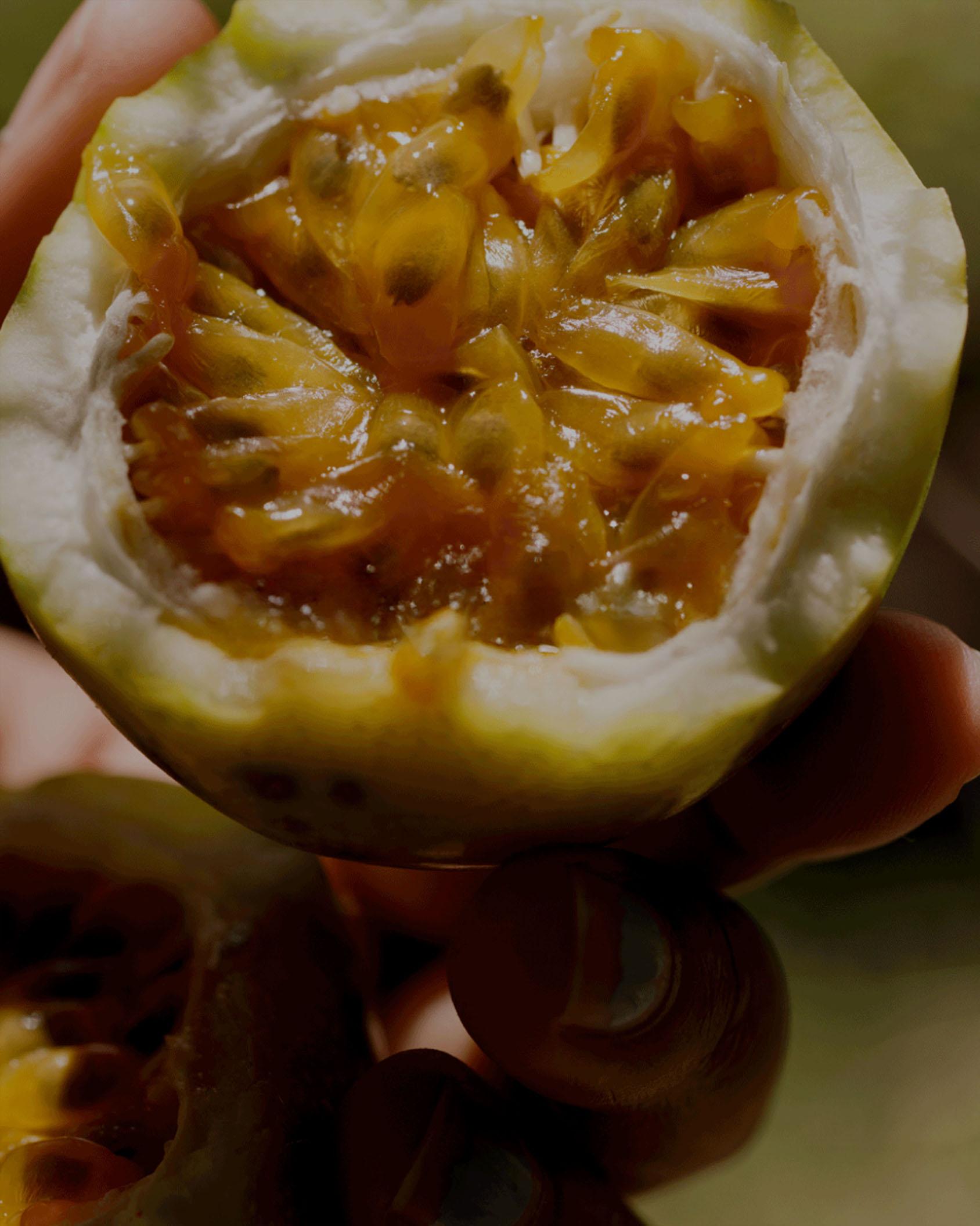 瑰麗酒店集團「Rise to the Table」計劃