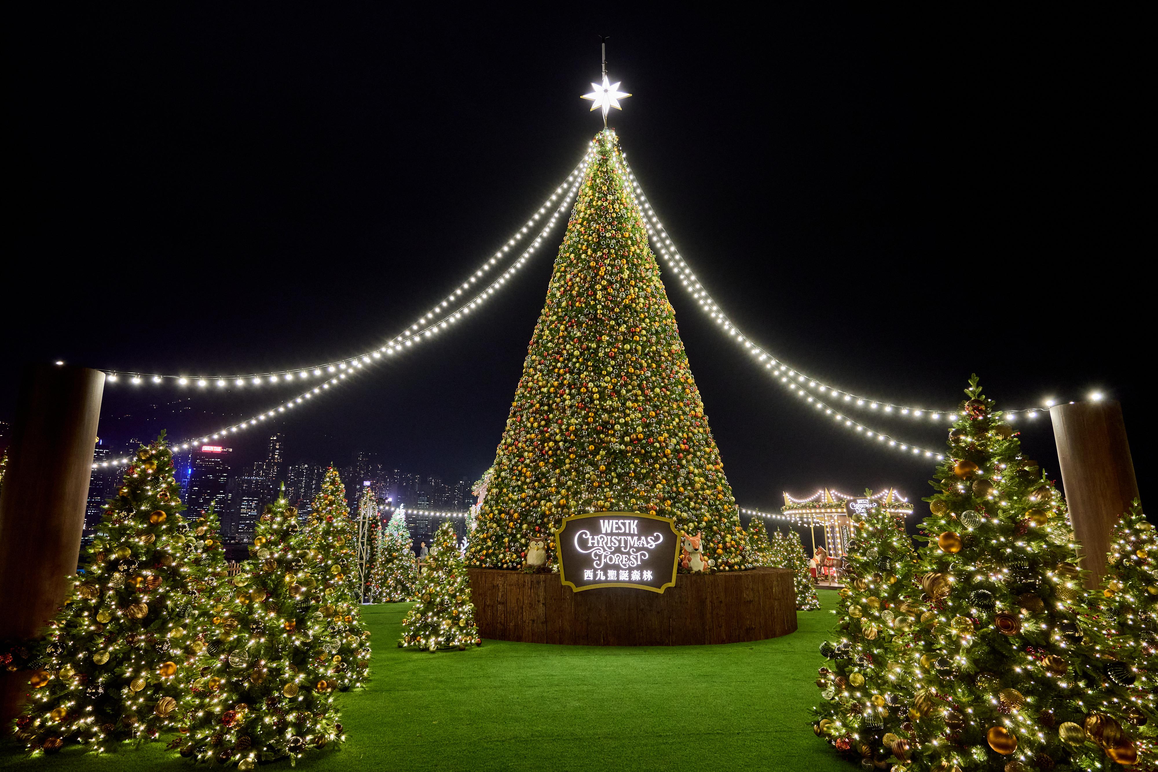 超過12米高的巨型聖誕樹