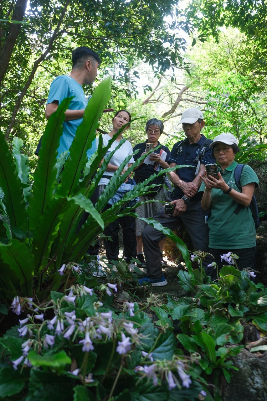 「植物全接觸 - 微觀綠葉」互動體驗