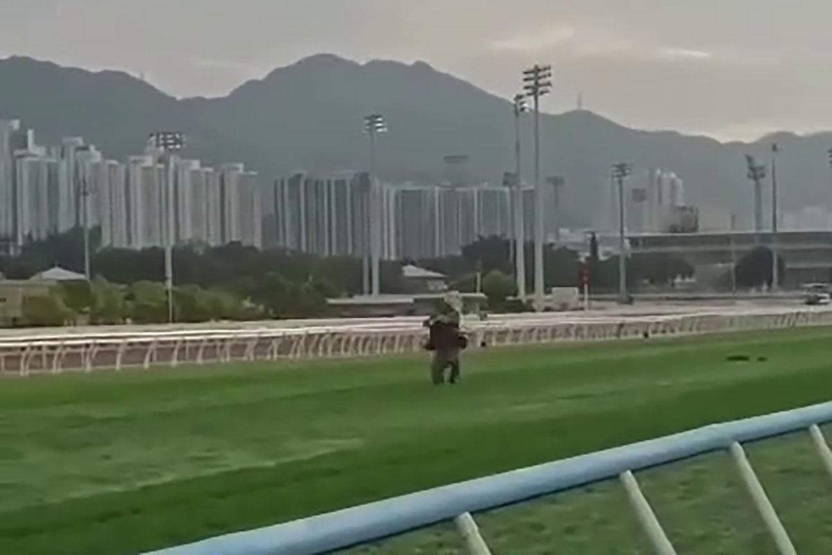 有人在賽馬期間闖入賽道,隨即被工作人員制服,賽事未受影響。(網上影片截圖)