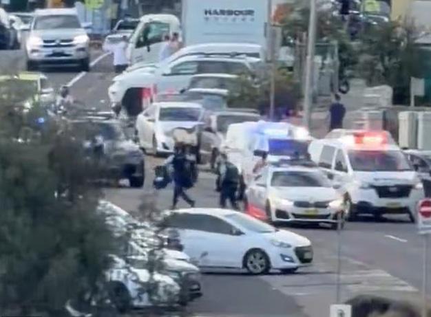 警員及警車接報到場。(互聯網)