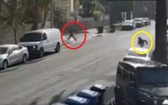 兩名賊人落慌而逃。(互聯網)