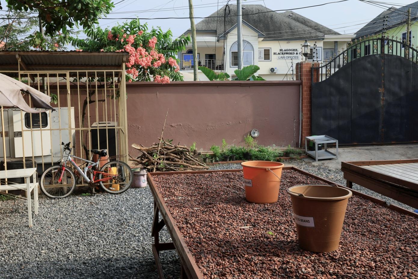 加納農民把可可豆曬乾。(資料圖片)