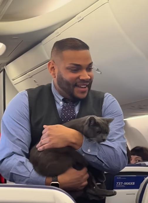 貓咪被空服員抱著來回走了幾趟後,終於被認出牠的主人尋回,並安全地放回貓籠中。