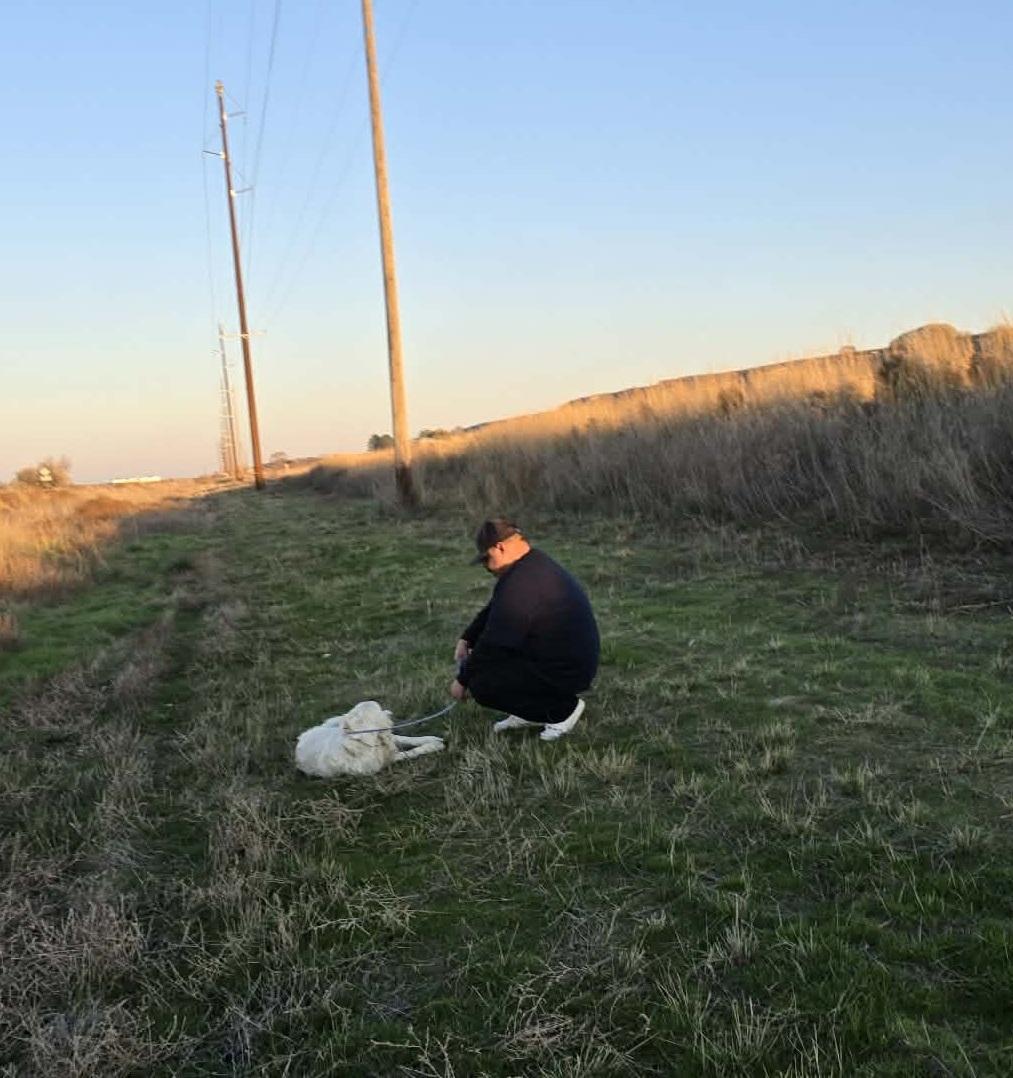 動保義工走近,看看狗狗的情況。(互聯網)