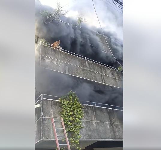 女子抱起狗狗,準備拋下。(互聯網)