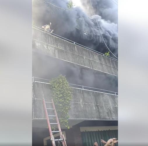 女子再救出另一隻狗。(互聯網)