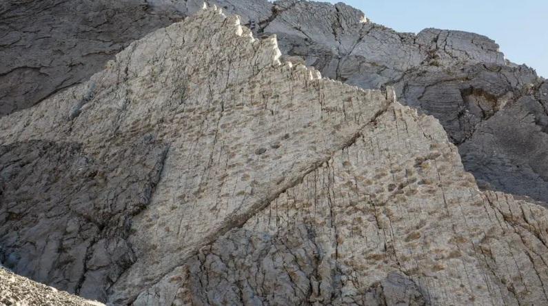 英國BBC報道,意大利弗雷萊谷(Valle di Fraele)岩壁上留下數千恐龍腳印。(互聯網)