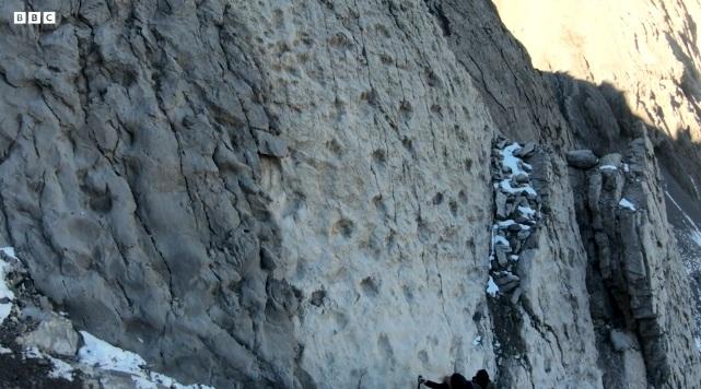 英國BBC報道,意大利弗雷萊谷(Valle di Fraele)岩壁上留下數千恐龍腳印。(互聯網)
