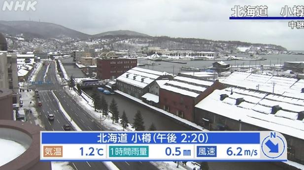 北海道小樽周一下午積雪情況。(互聯網)