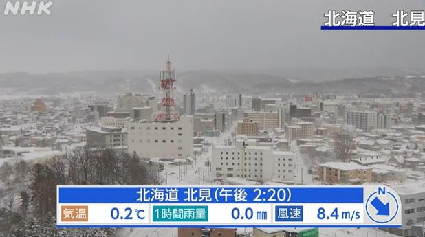 北海道北見市周一積雪情況。(互聯網)
