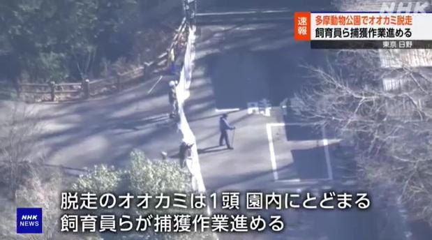 工作人員在動物園通道架起圍欄。(互聯網)