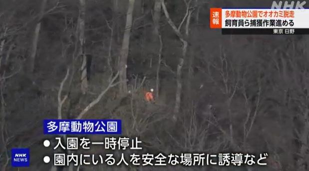 工作人員在樹林裡搜索。(互聯網)