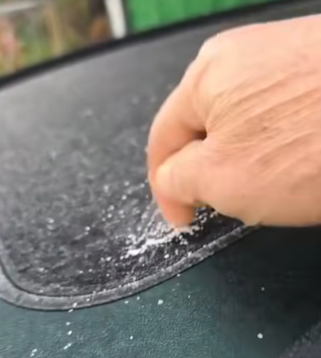 攝:馮先生 / 2026年1月8日 / 大埔大窩村@香港天文台fb