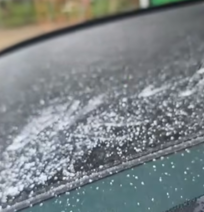 攝:馮先生 / 2026年1月8日 / 大埔大窩村@香港天文台fb