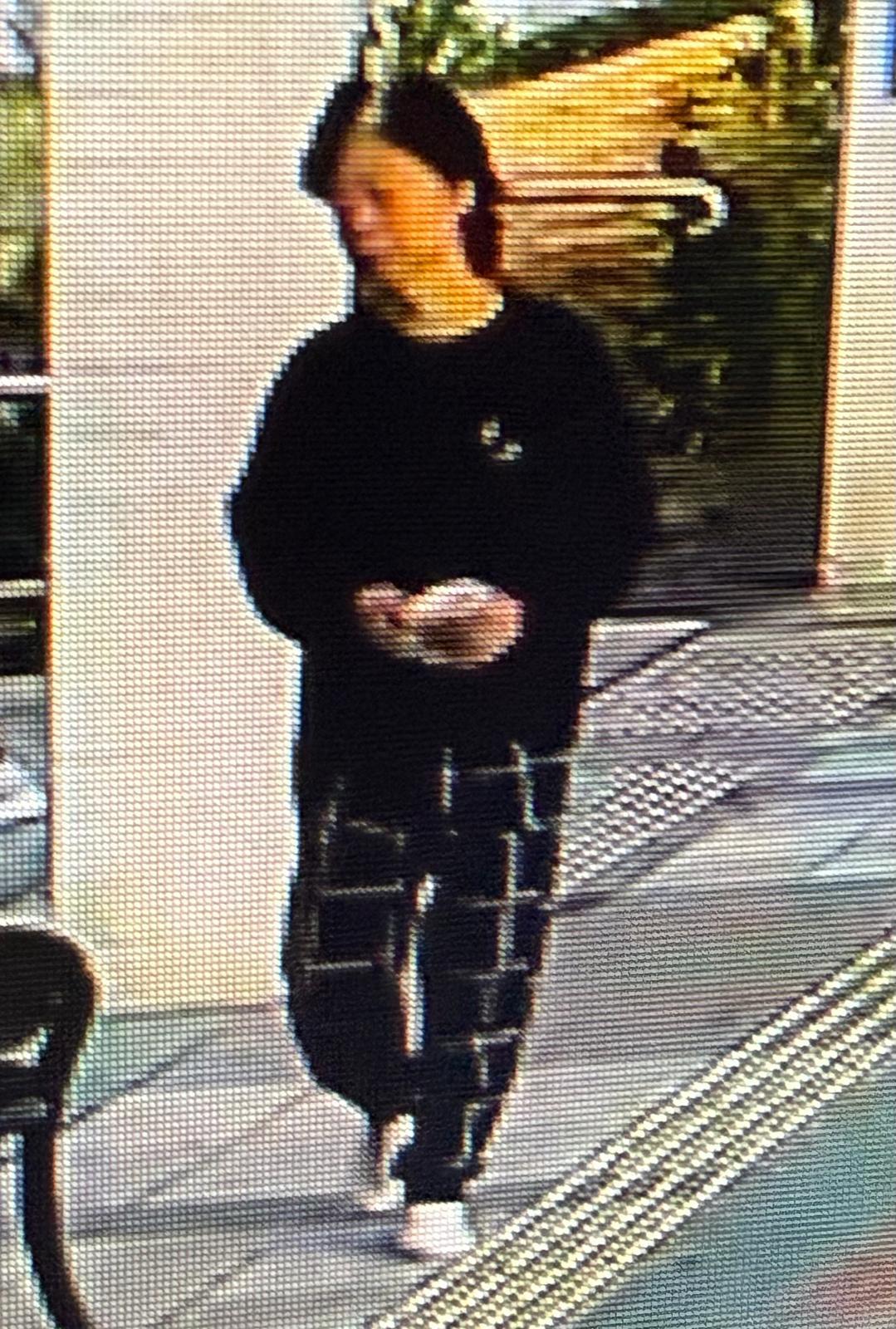 大埔70歲老婦陳偉艷失蹤。(政府新聞處圖片)