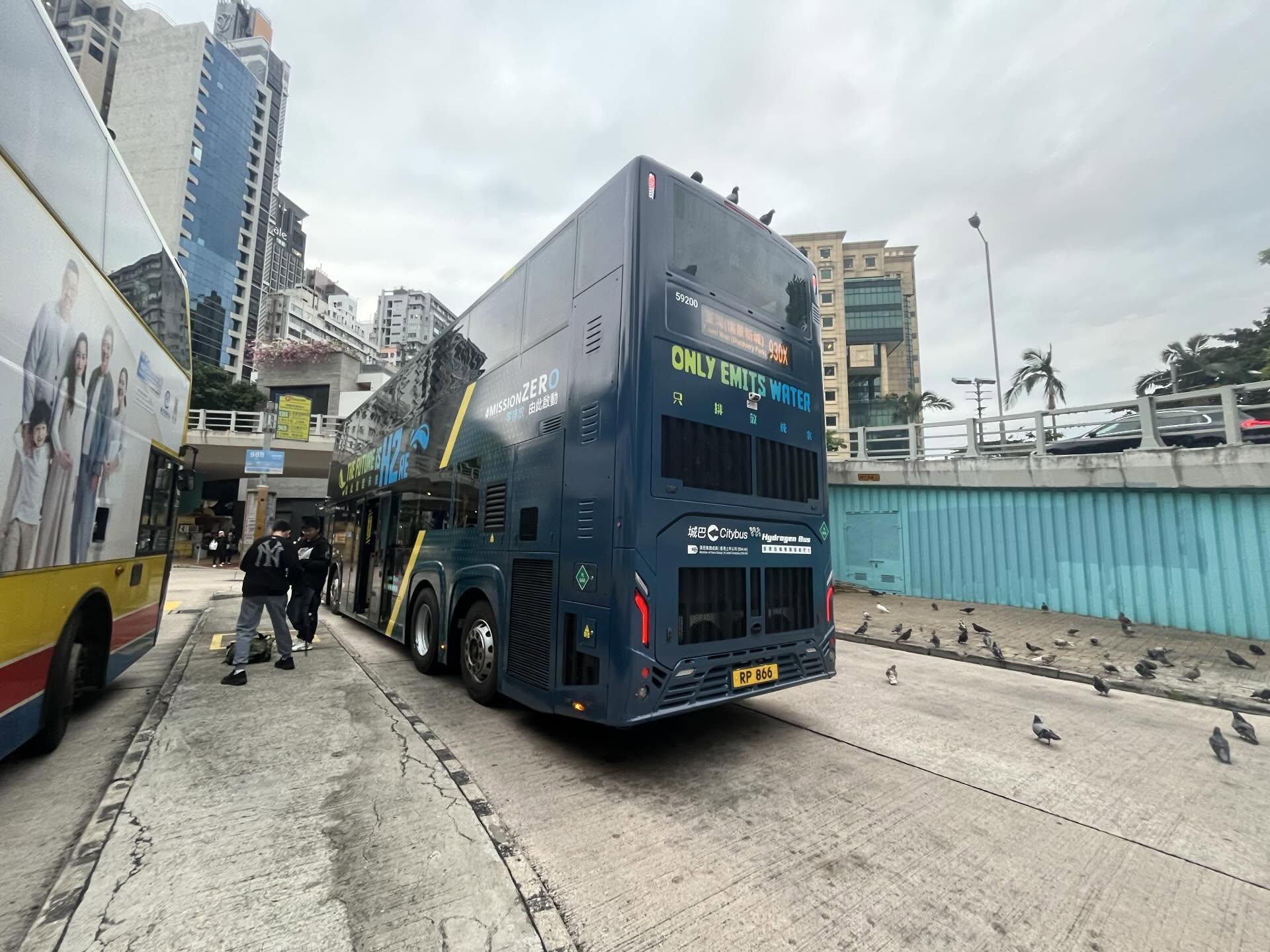 銅鑼灣摩頓台巴士總站被一群「野鴿大軍」攻陷,巴士總站旁空地亦有野鴿疑似進食。(threads@dennisdart0925)