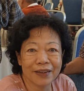 大埔70歲老婦陳偉艷失蹤。(政府新聞處圖片)