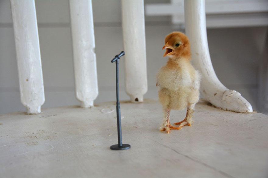 「世界真奇妙」大獎得主,佔領舞台: Kate Anderson , 12 歲