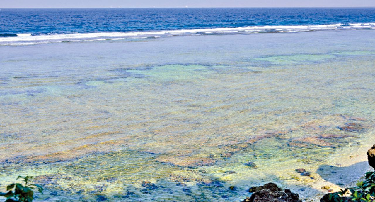 清澈的海水,一望無際的海洋,美得無話說。