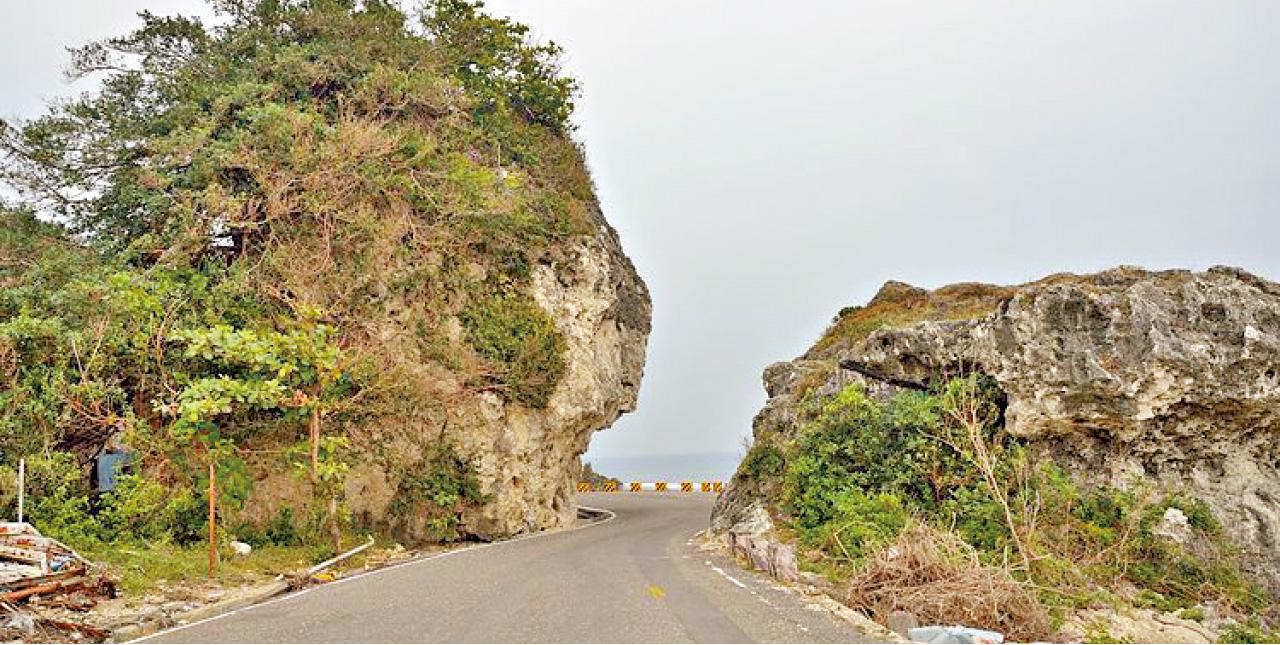 遠看像印第安人頭的紅番石。