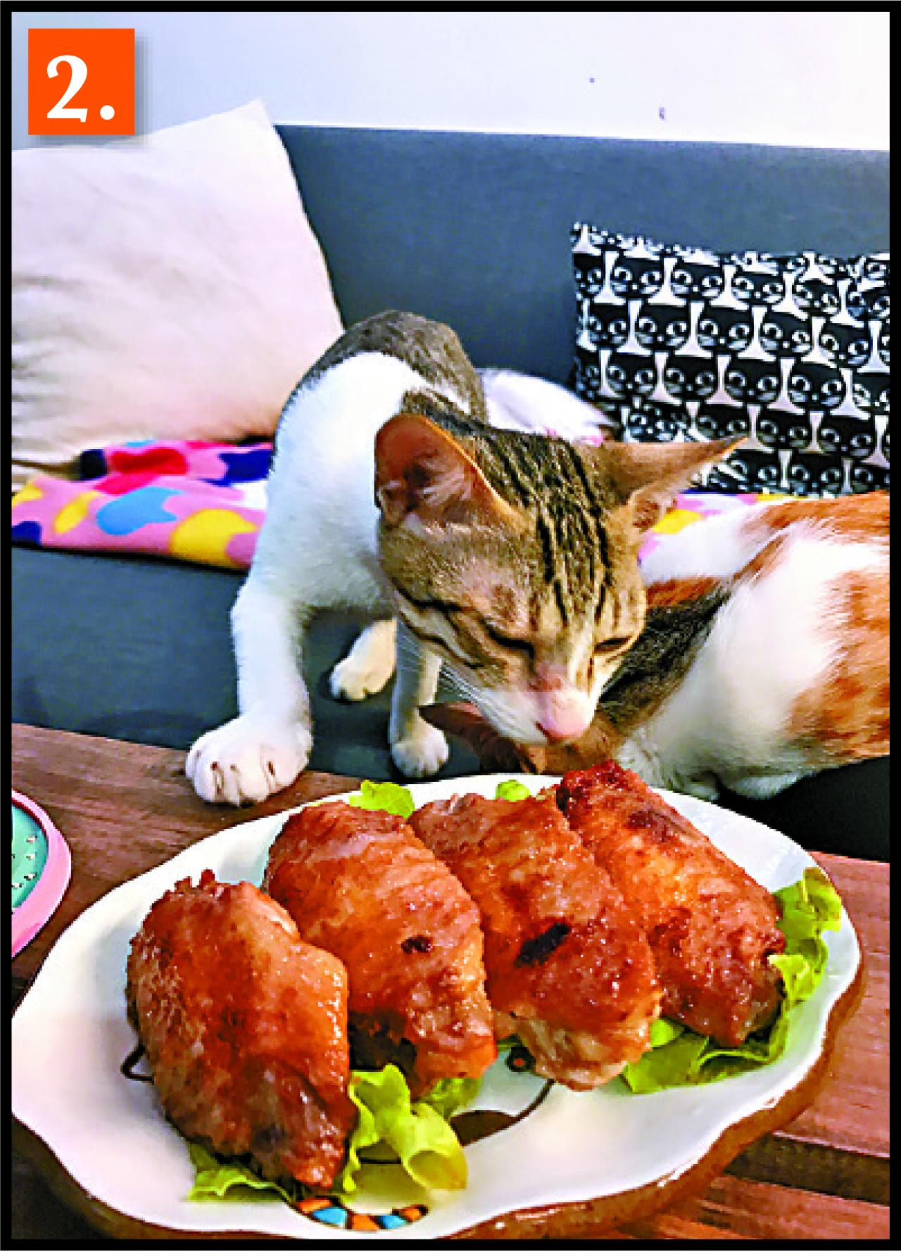 2.蝦醬雞翼煎得金黃,酥脆鹹香肉汁又多,就連貓兒也會走過來企圖偷吃。