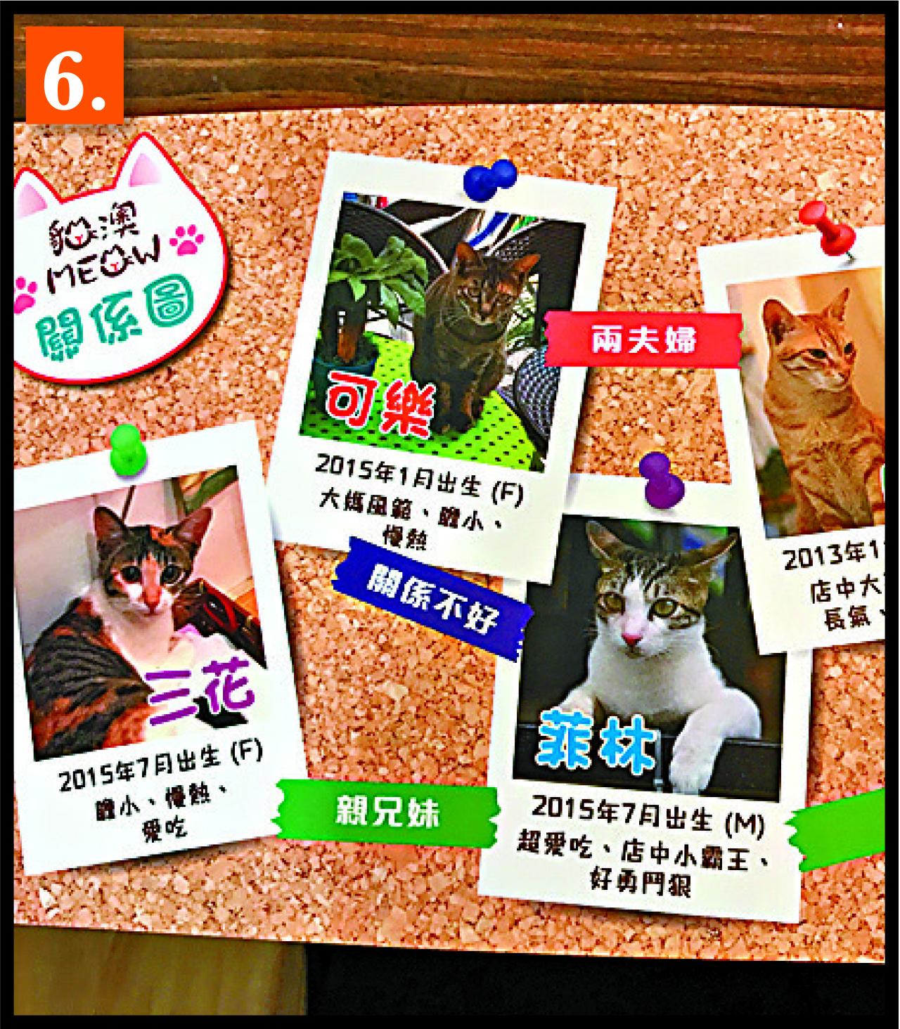 6.餐飲目錄有店內的貓兒介紹,不過有不少現在已找到了主人,離開了店。