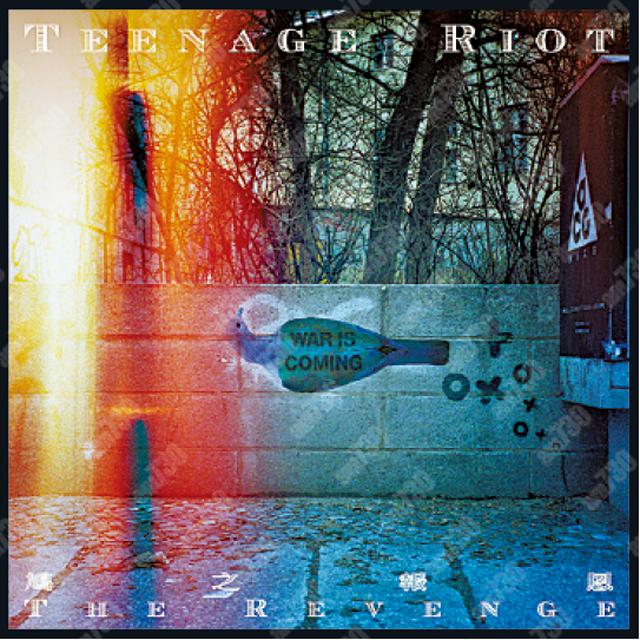 Teenage Riot
