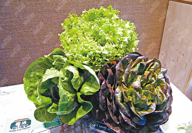 Farm Direct:灣仔駱克道429號地下 電話:2592 9198 / 2431 1088