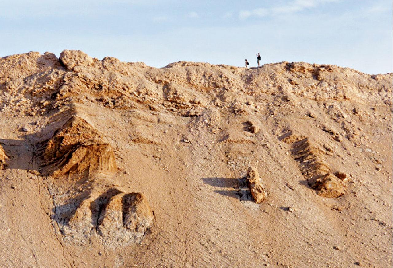 走上山脊觀光,極目遠望,風景更美。