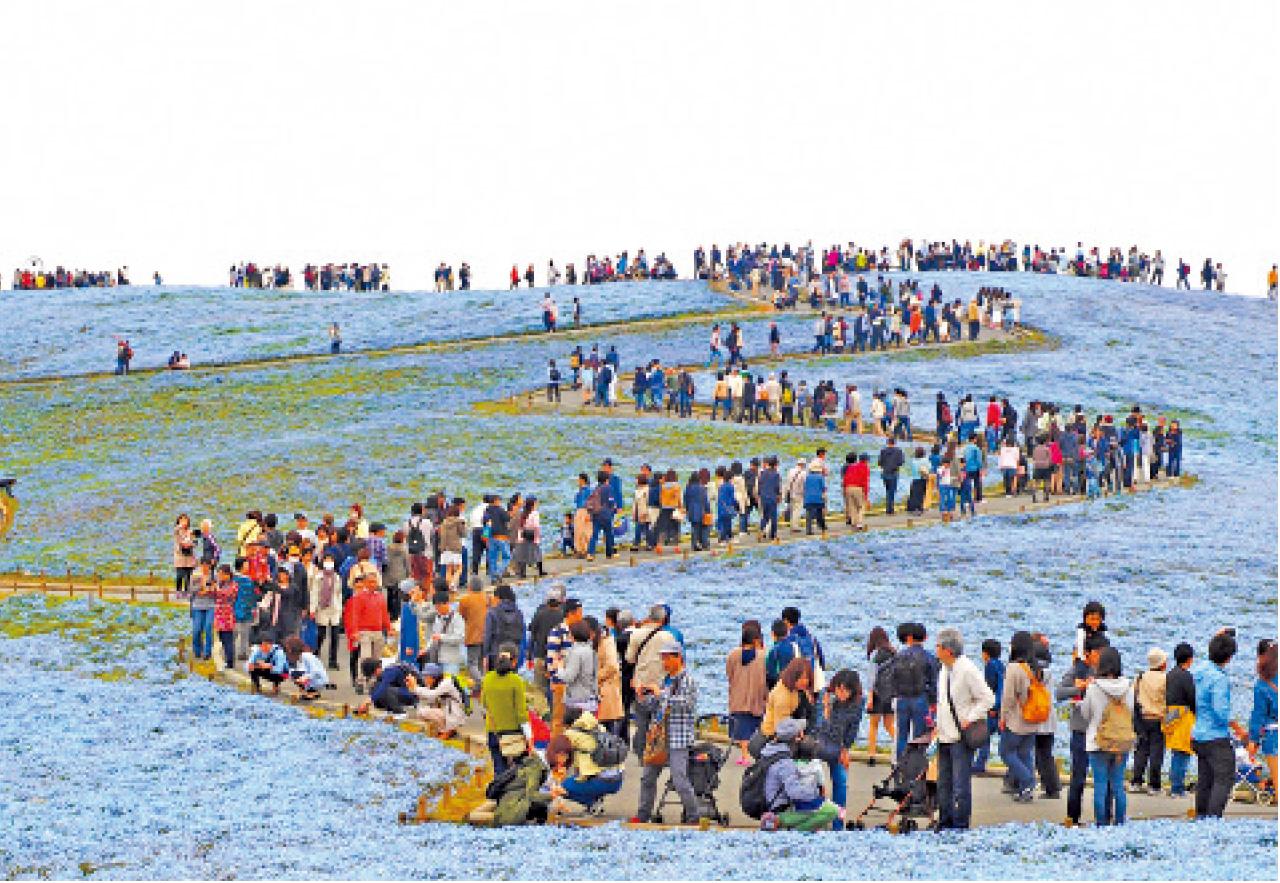 遊人可沿住蜿蜒的步道登上山丘,風景更美。