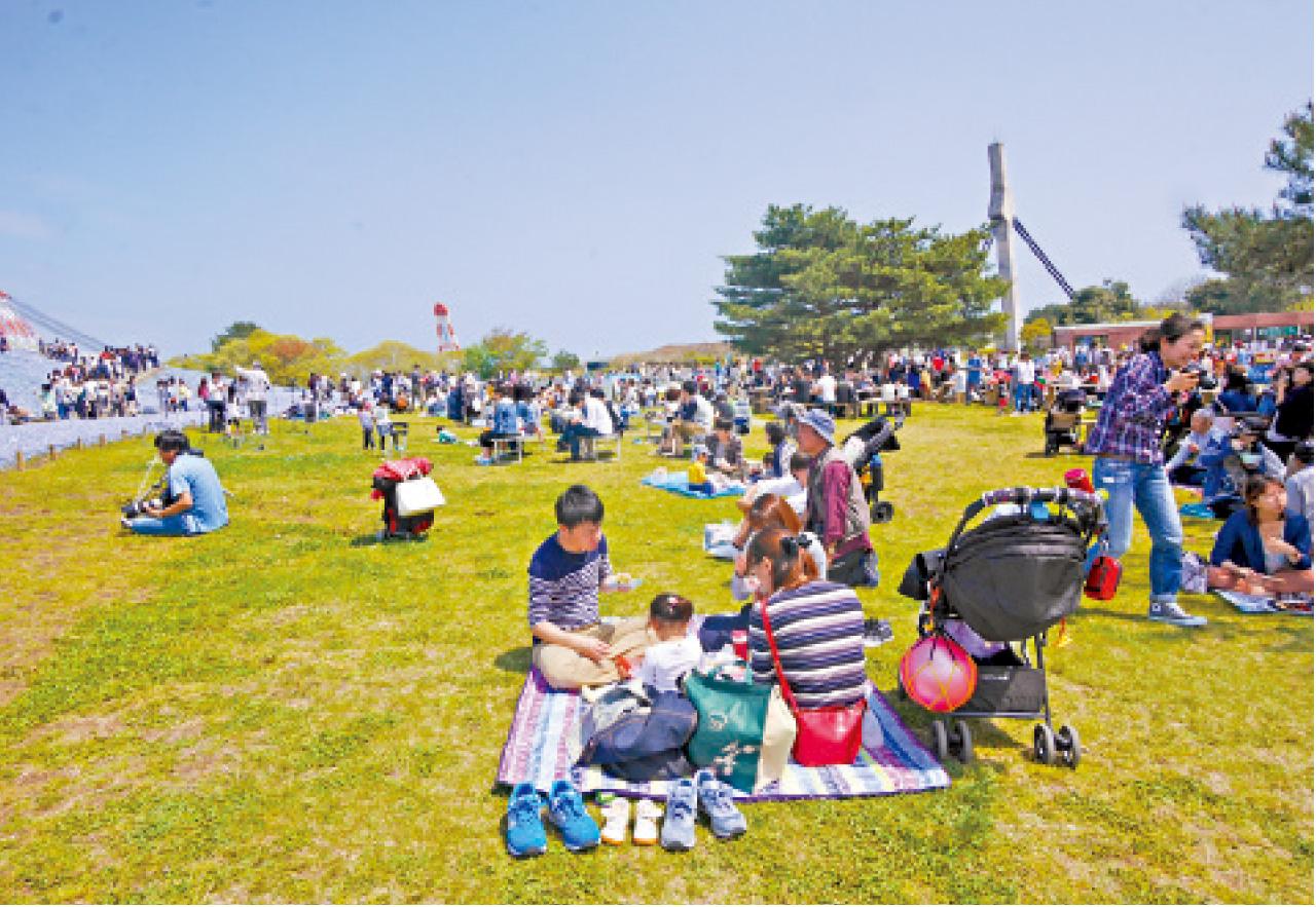午飯時間,日本人會一家大小坐在草地野餐。