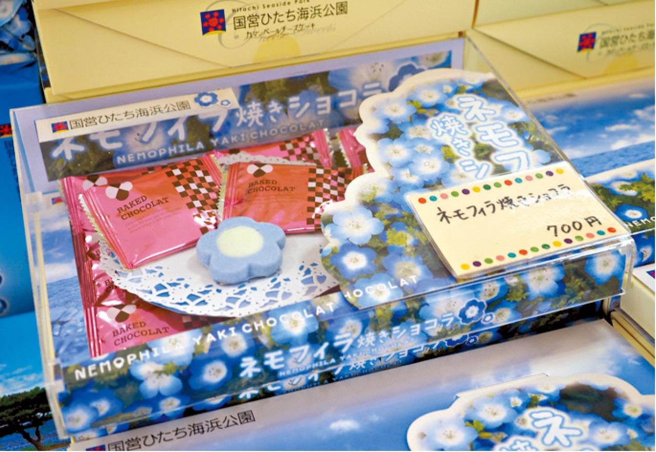 粉蝶花季期間,公園內的特產店都有粉蝶花主題手信售賣。