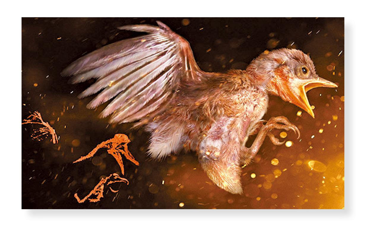 比龍標本復原圖。(互聯網)