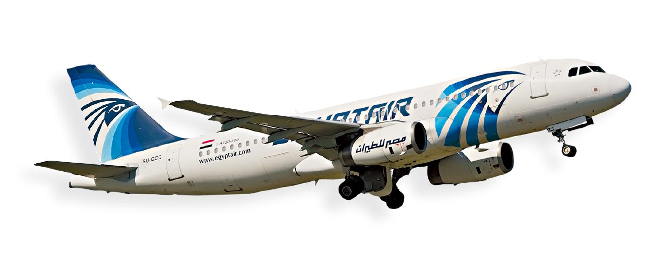 失事的埃航客機。(資料圖片)