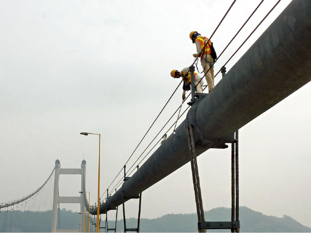 工程人員檢查主纜。(路政署提供)