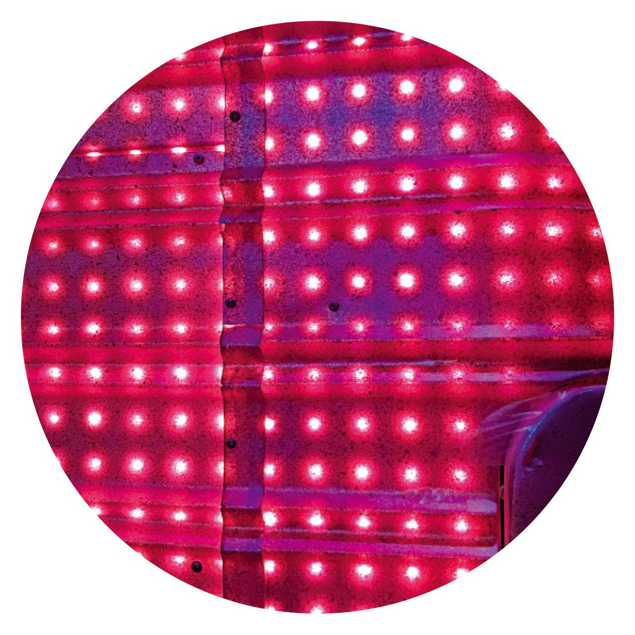 場景的投射和車身顏色的變化,全靠這些小小的LED燈泡。