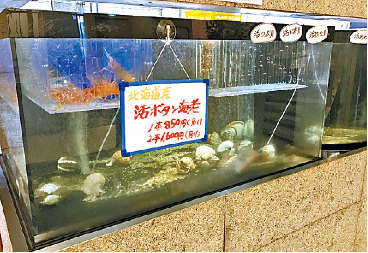 自設魚缸,有海老及帆立貝等海鮮提供。