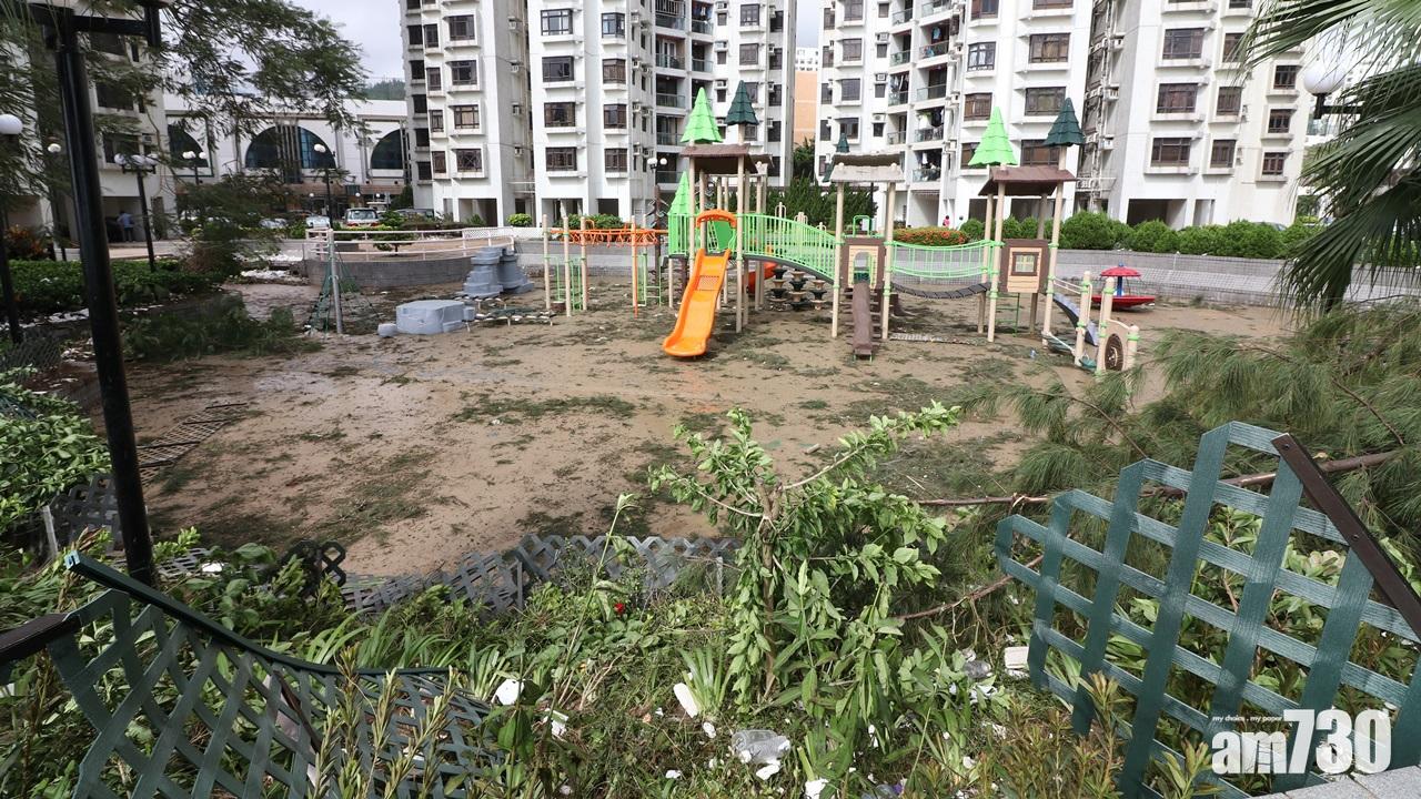 颱風天鴿回顧,杏花邨(陳奕釗攝)