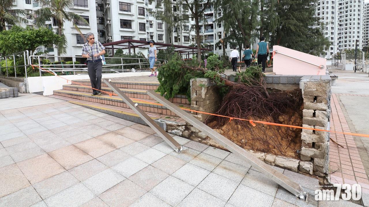 颱風天鴿回顧,杏花邨(陳奕釗攝)