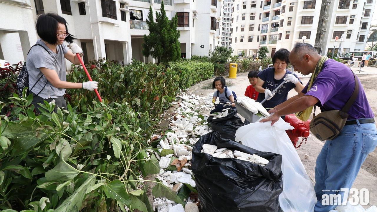 颱風天鴿回顧,杏花邨(陳奕釗攝)