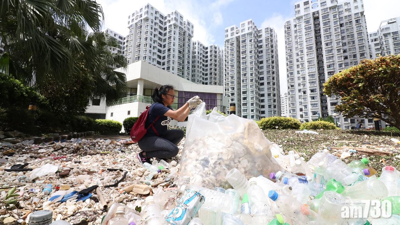 颱風天鴿回顧,杏花邨(陳奕釗攝)