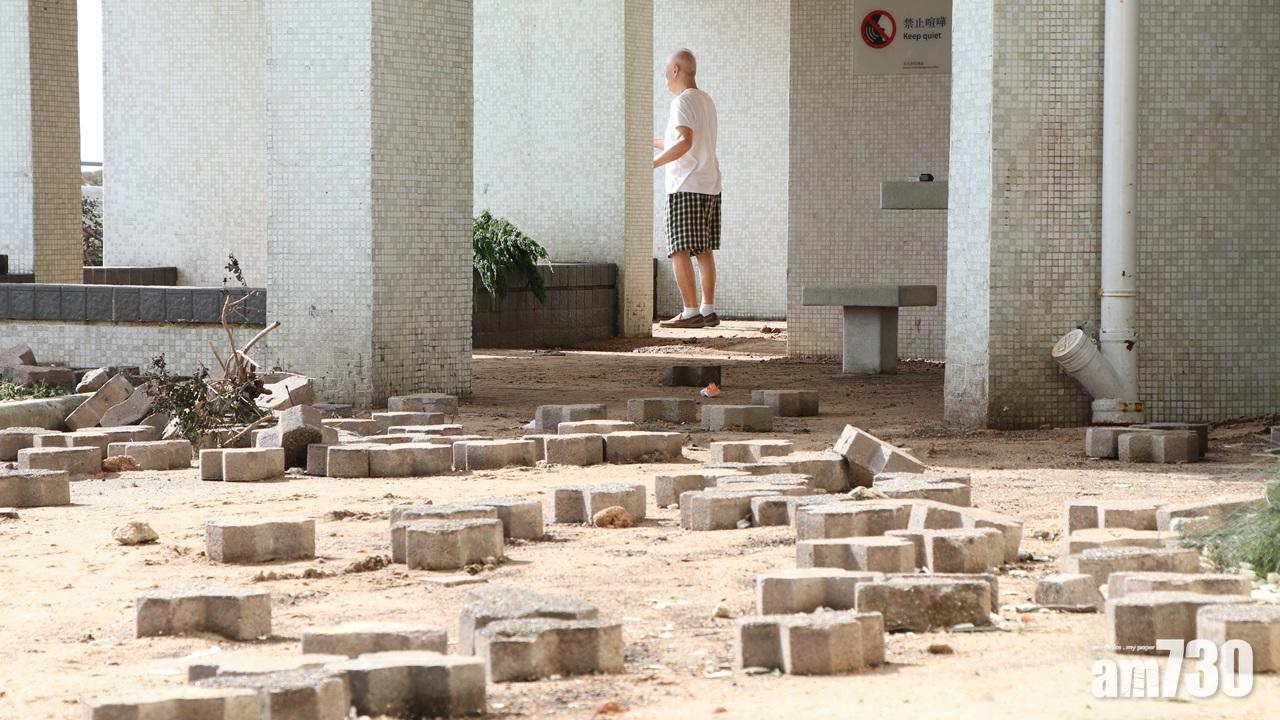 颱風天鴿回顧,杏花邨(陳奕釗攝)