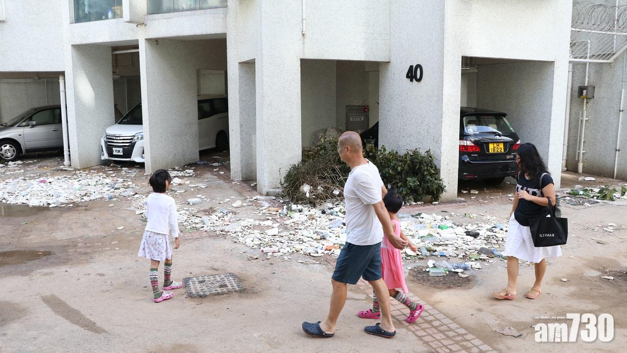 颱風天鴿回顧,杏花邨(陳奕釗攝)