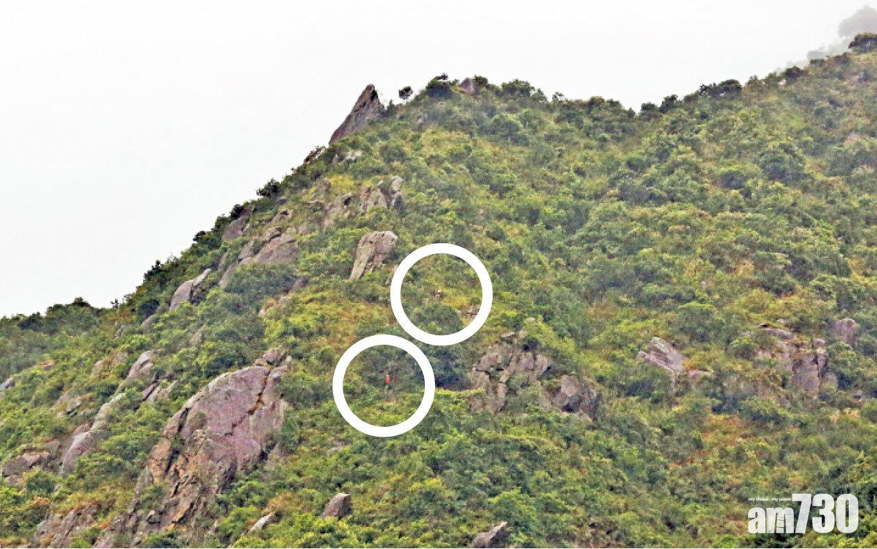 救援人員攀山拯救被困人士。(莊振邦攝)